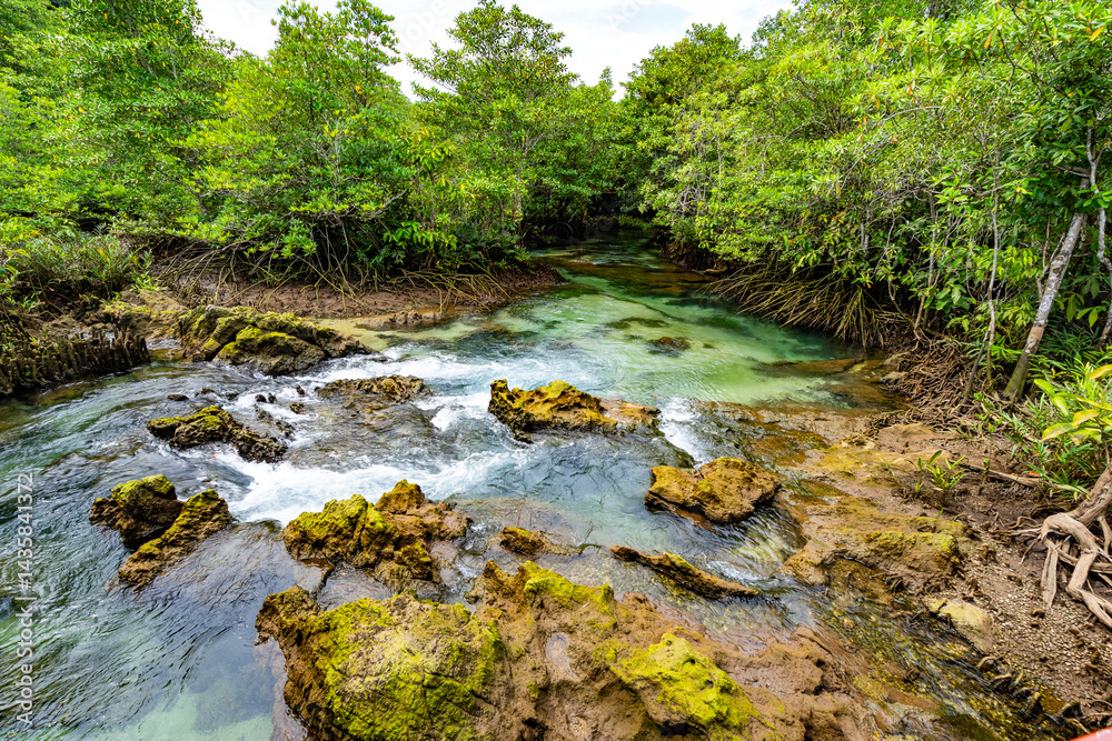 Obraz premium Tropical trees roots in swamp forest and crystal clear water stream canal at Tha Pom Klong Song Nam mangrove wetland Krabi Thailand Beautiful nature view