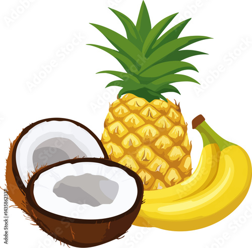 Vector diagram of pineapple, banana, coconut