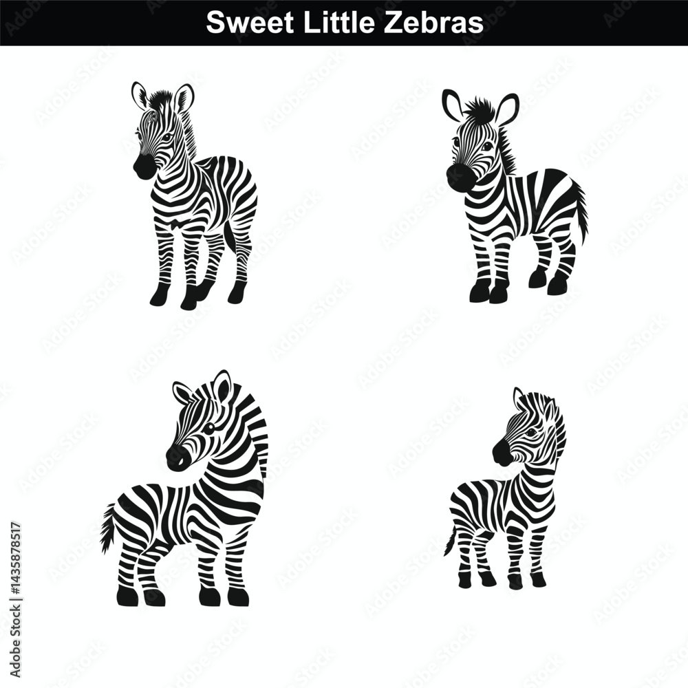 Obraz premium Sweet Little Zebras: Cute Black and White Baby Zebra Illustrations for Designs