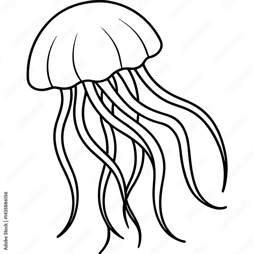 Elegant Jellyfish Lines Elegant Jellyfish Lines