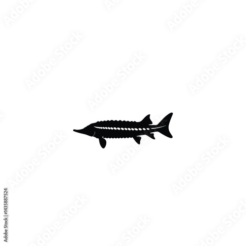 Sturgeon fish silhouette on white background