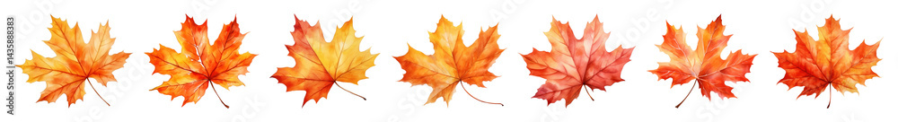 Obraz premium PNG Vibrant autumn maple leaves illustration, element set on transparent background