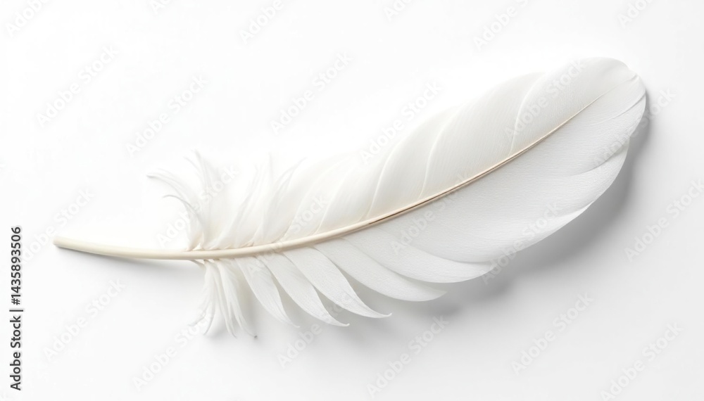 Obraz premium Crisp white feathers against a stark white background, white, beauty, natural beauty