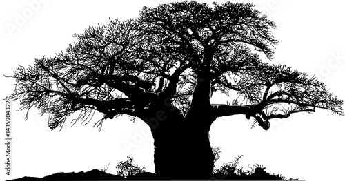 Silhouette of a majestic baobab tree with intricate branches. Vector illustration