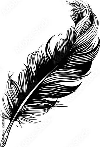 Detailed black and white feather illustration with intricate lines. Vector illustration