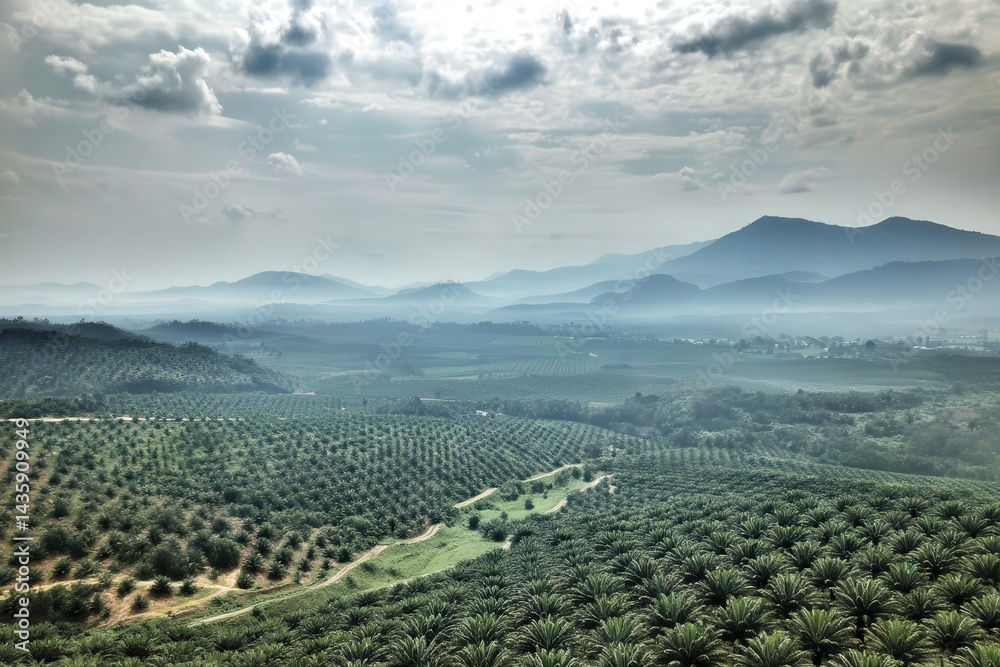Lush Green Landscape with Rolling Hills and Overcast Sky