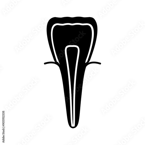 Incisor
