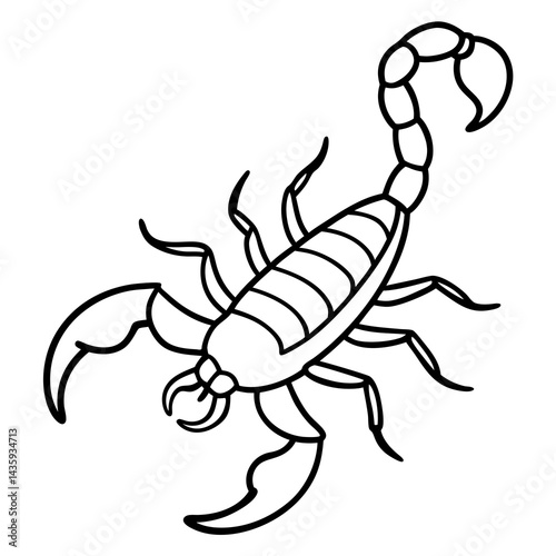 Fine Line Scorpion