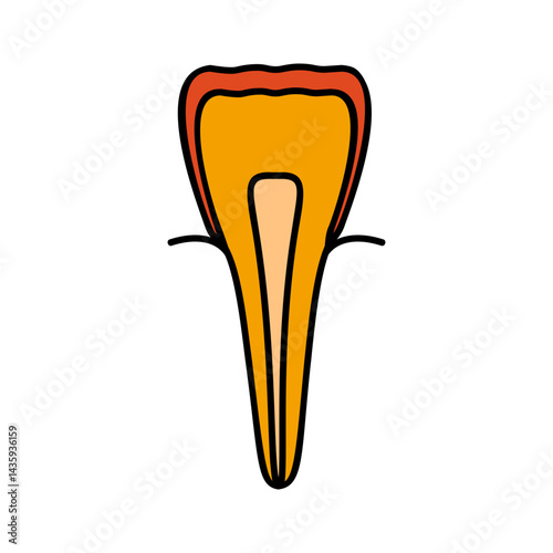 Incisor