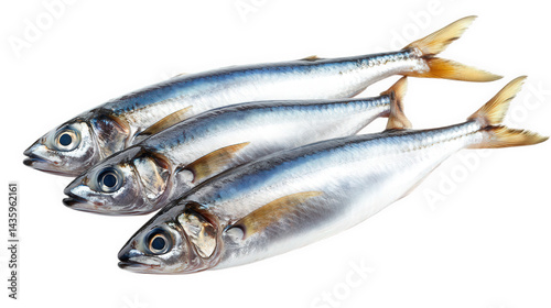 three fresh fish. displaying their shiny silver skin and distinct fins. arranged neatly against a white background this presentation highlights their freshness and is suitable for culinary contexts. s photo