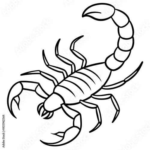Stylized Scorpion Line Illustration