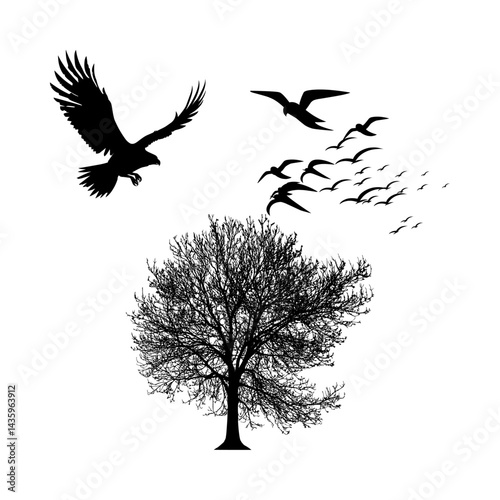 Birds flying symbolize freedom and grace, moving swiftly through the open sky.