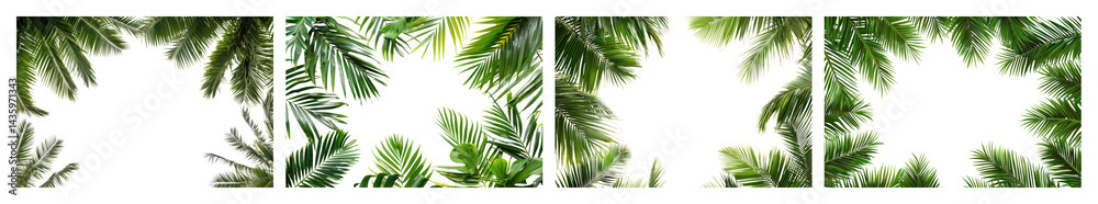 Obraz premium PNG Tropical palm leaves border design, element set on transparent background