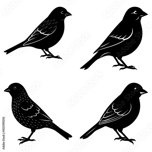 Wallpaper Mural Finch Silhouette vector illustration Torontodigital.ca