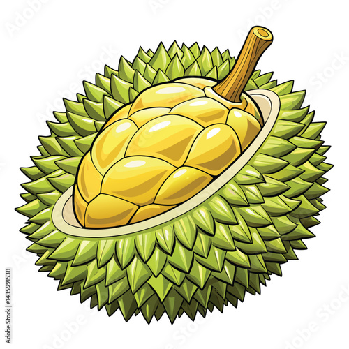Durian Fruit Illustration (2)