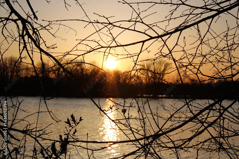 Fototapeta premium sunset through the trees