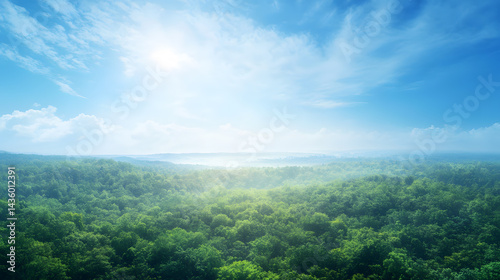 Obraz na płótnie Serene Aerial View Lush Green Forest Misty Morning Sunlight Blue Sky Landscape Photography w salonie