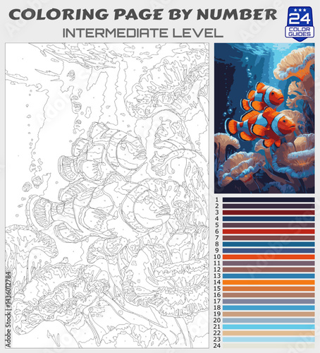 Clownfish in Coral Reef Coloring Page by Number | Printable Intermediate Underwater Scene