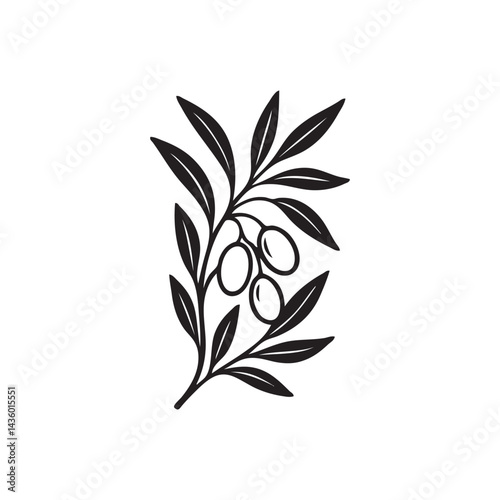 olive oil and leaf