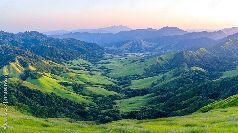 Obraz premium Panoramic view of rolling green hills and valleys at sunrise, mountains in the background under a soft sky
