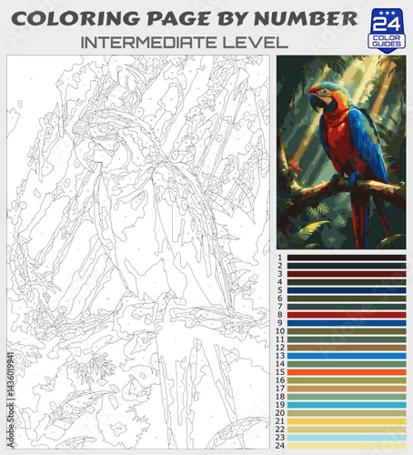 Colorful Parrot on Branch Coloring Page by Number | Printable Intermediate Tropical Wildlife Scene