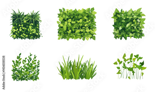 Green Grass and Living Wall Eco Design Vector Illustration Set for Sustainable Design Concepts