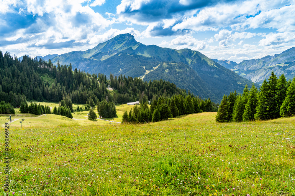 Fototapeta premium Beau paysage de montagne à Châtel en France en été