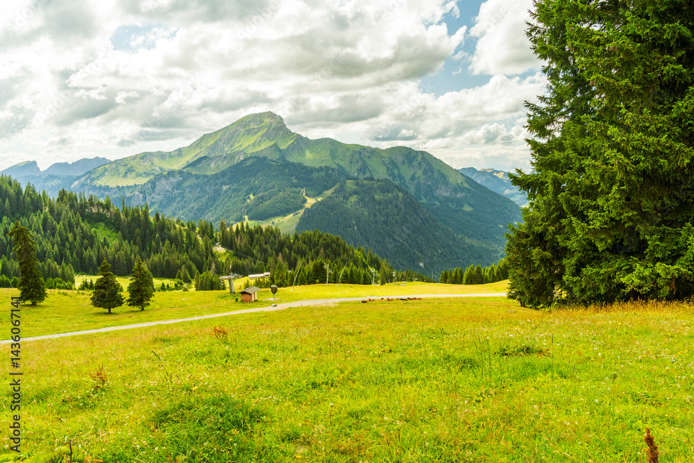 Fototapeta premium Beau paysage de montagne à Châtel en France en été