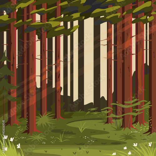 A view of the forest during sunset with lush green grass and trees.