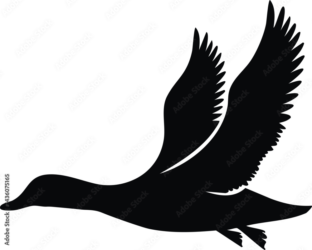 Fototapeta premium Duck Silhouette Vector SVG Cut File for Cricut and Sublimation