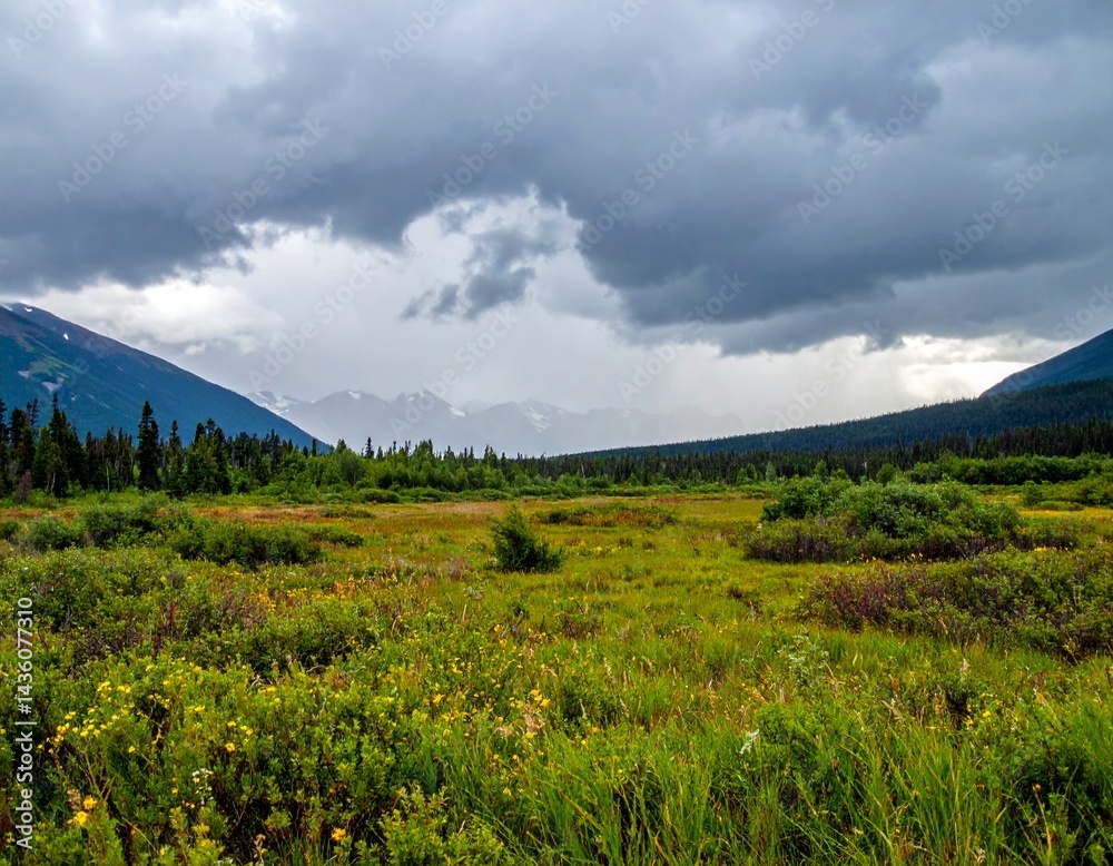 Fototapeta premium together...