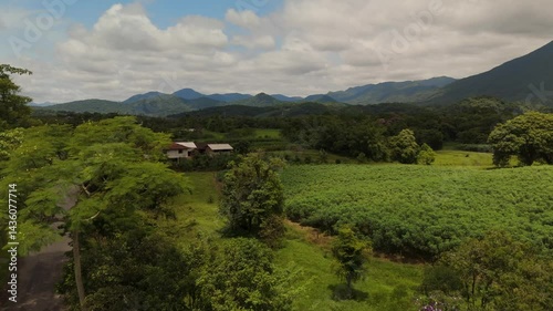 Serene river winding through green mountain valleys. Lush vegetation blankets the landscape. Peaceful flight over nature's beauty