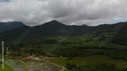 Serene river winding through green mountain valleys. Lush vegetation blankets the landscape. Peaceful flight over nature's beauty