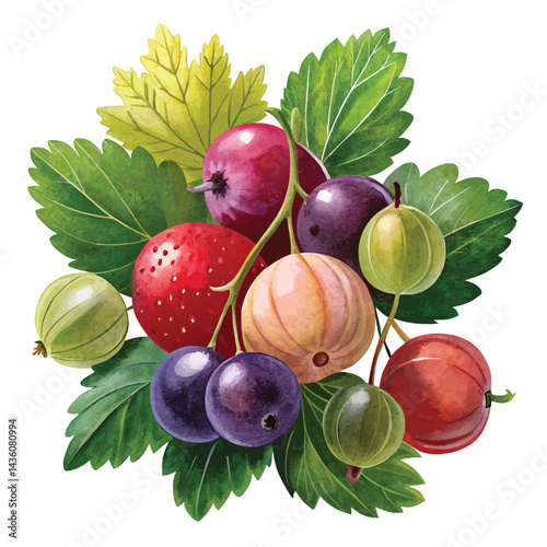 set of fresh berries