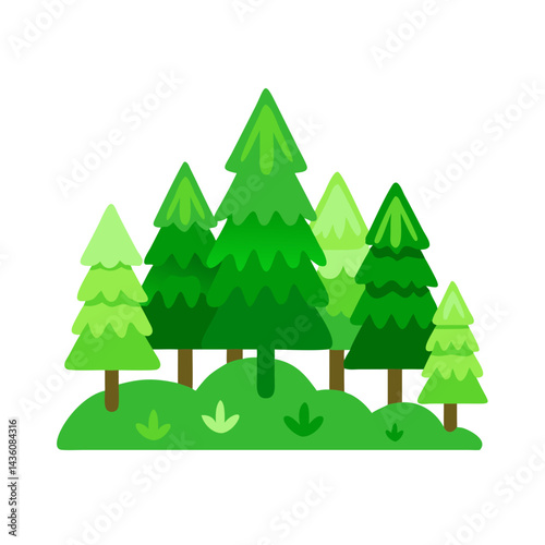 Lush green forest with various conifer trees growing in a natural landscape during daylight