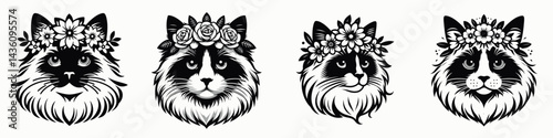 Ragdoll Cat head with flower crown. Silhouette logo animal mascot. Feline face art lovely bloom wreath on purebred kitten visage.