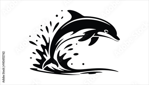 Dolphin Splash Vector Illustration 