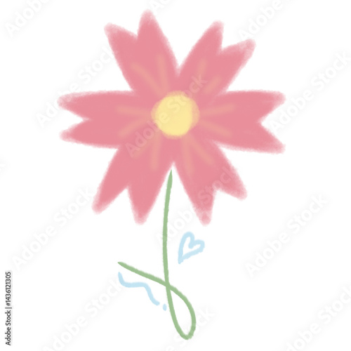 pink daisy isolated on white