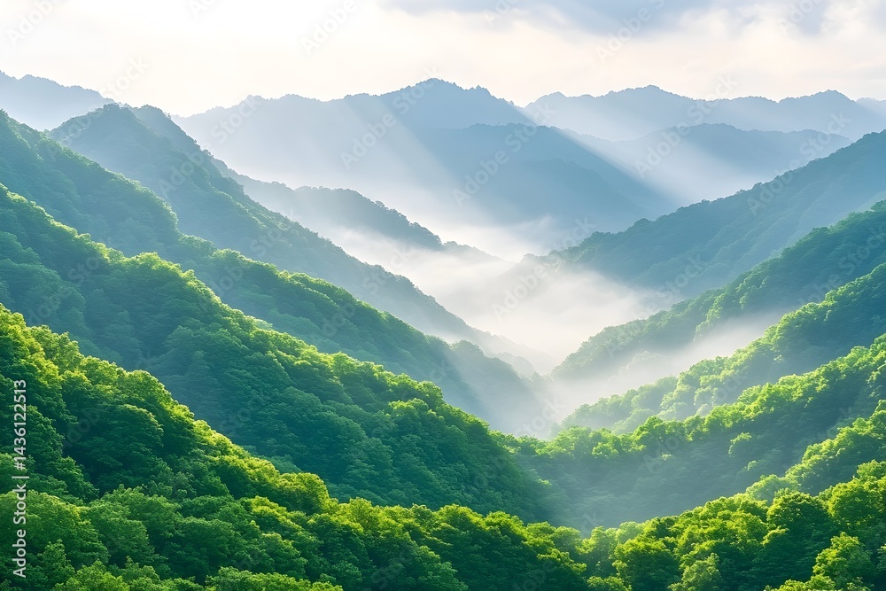 Naklejka premium Sunlit mist-shrouded valley nestled among lush green mountains