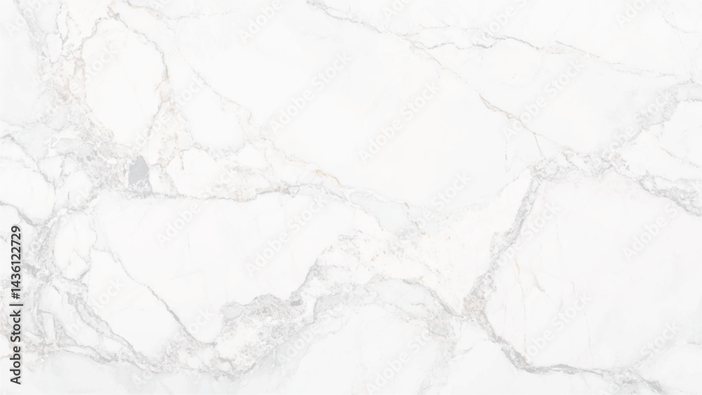 Fototapeta premium Detailed Natural Marble Texture or Background High Definition Scan Print white marble background.
