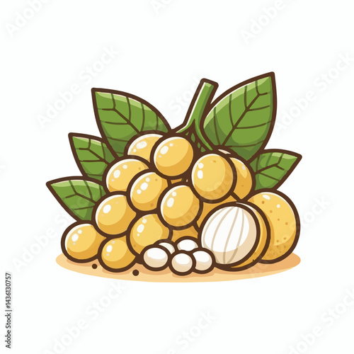 fruit, background, langsat, tropical, food, natural, healthy, ripe, fresh, sweet, delicious, agriculture, longkong, organic, tasty, closeup, thailand, nutrition, plant, diet, white, nature, juicy, iso