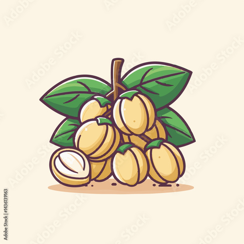 fruit, background, langsat, tropical, food, natural, healthy, ripe, fresh, sweet, delicious, agriculture, longkong, organic, tasty, closeup, thailand, nutrition, plant, diet, white, nature, juicy, iso