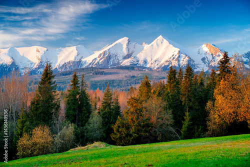 Fototapeta Naklejka Na Ścianę i Meble -  Morning view of the Bielskie Tatras, Podhale, Poland. Łapszanka, green fields and snow-capped mountain peaks.
Golden hour in the countryside with beautiful scenic.