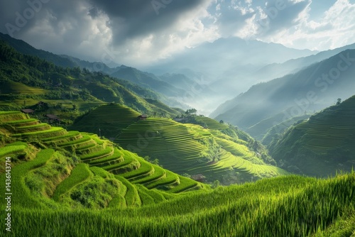 Lush Green Rice Terraces Under Dramatic Sky in Mountain Landscape