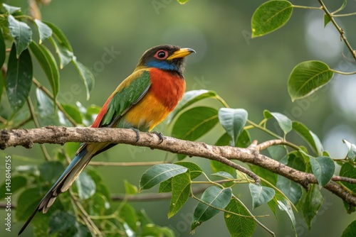 Colorful Bird Perched on Branch in Natural Habitat Generative AI