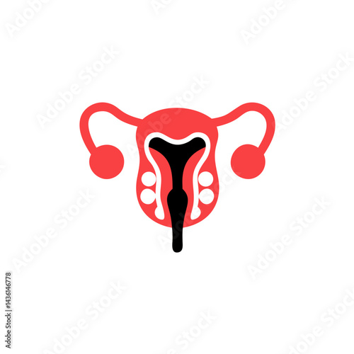 abdomen internal organs vector icon of female reproductive organs in red and black  