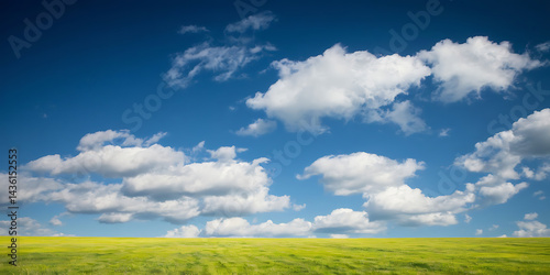 Vast field under a vast blue sky. Tranquil landscape.