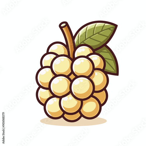 fruit, background, langsat, tropical, food, natural, healthy, ripe, fresh, sweet, delicious, agriculture, longkong, organic, tasty, closeup, thailand, nutrition, plant, diet, white, nature, juicy, iso