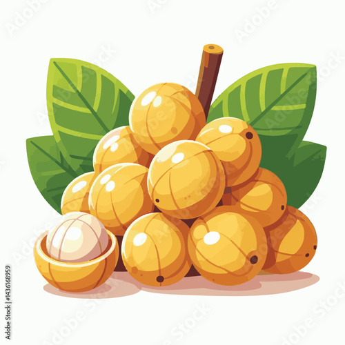 fruit, background, langsat, tropical, food, natural, healthy, ripe, fresh, sweet, delicious, agriculture, longkong, organic, tasty, closeup, thailand, nutrition, plant, diet, white, nature, juicy, iso
