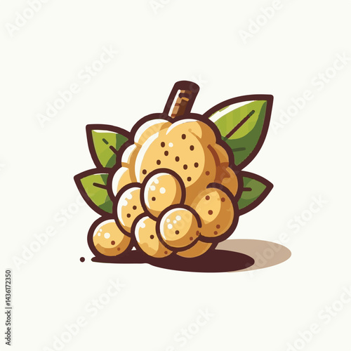 fruit, background, langsat, tropical, food, natural, healthy, ripe, fresh, sweet, delicious, agriculture, longkong, organic, tasty, closeup, thailand, nutrition, plant, diet, white, nature, juicy, iso